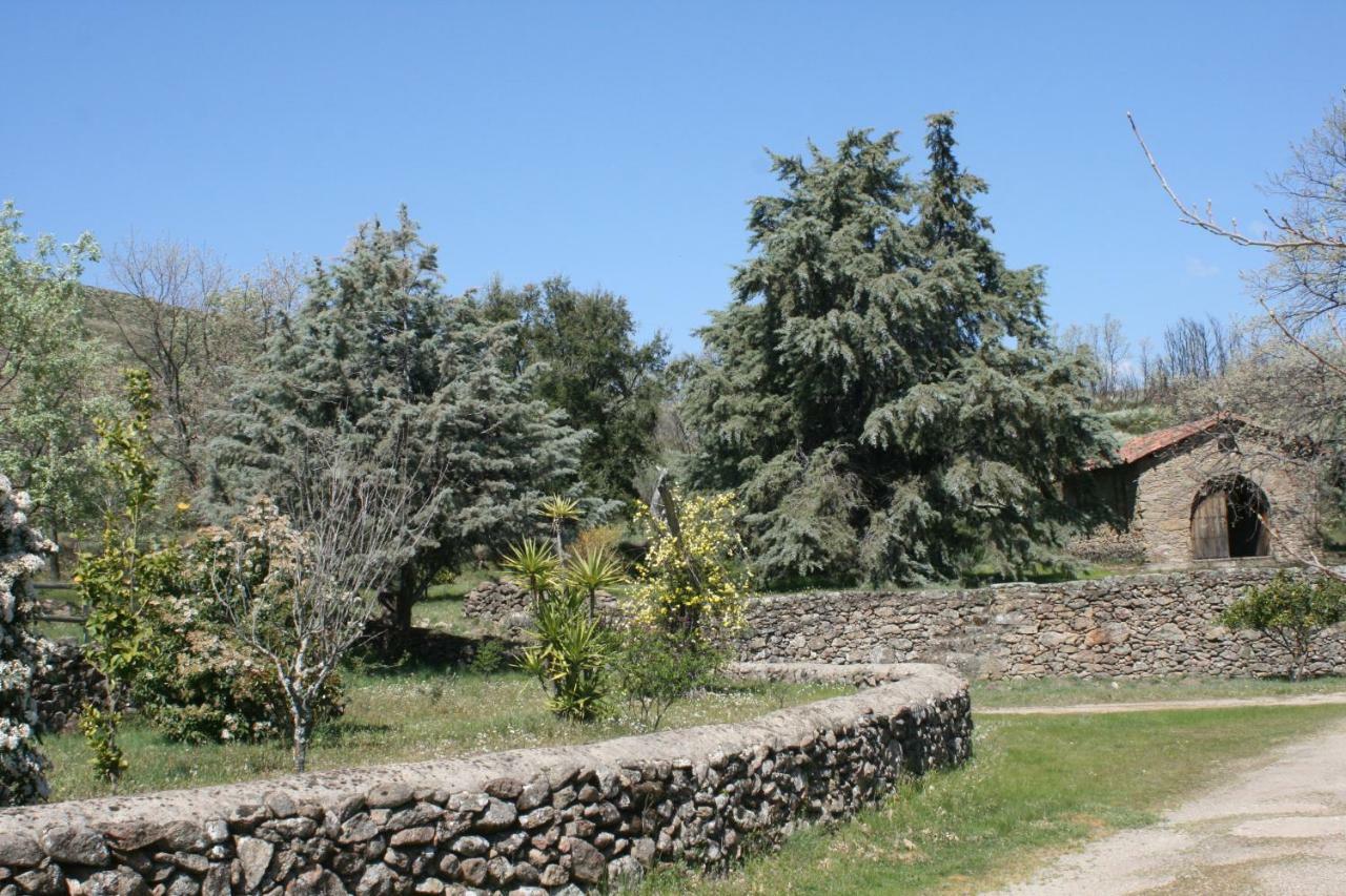 Casa Rural Los Robles Acebo Buitenkant foto